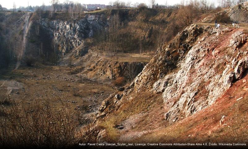 Rezerwat przyrody Wietrznia im. Zbigniewa Rubinowskiego