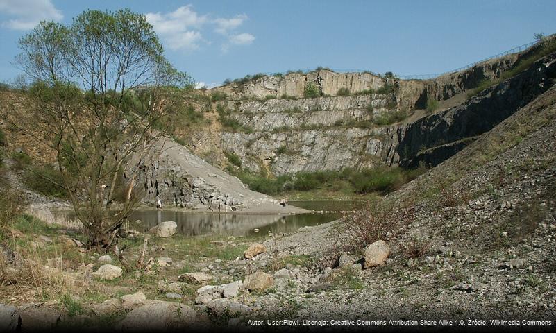 Rezerwat Skalny im. Jana Czarnockiego