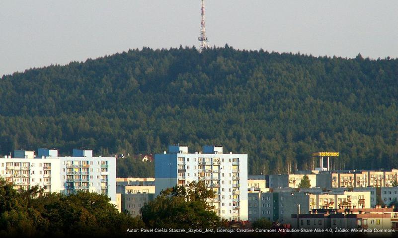 Stok Narciarski Telegraf w Kielcach