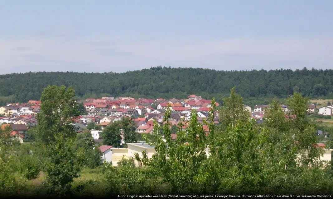 Emocje i rywalizacja podczas rajdu turystycznego AUTOKRÓLOVE 2026 w Kielcach