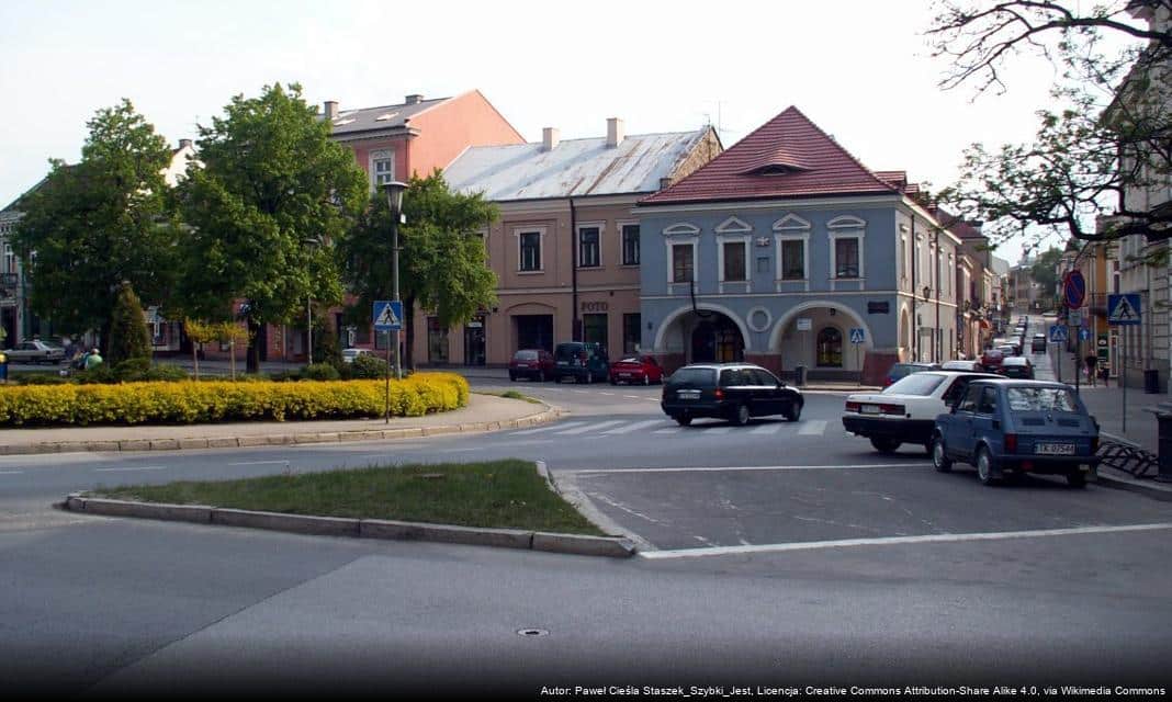 Zasady ochrony ptaków podczas prac termomodernizacyjnych w Kielcach